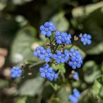 Ясно та сухо, +24°C — новий варіант