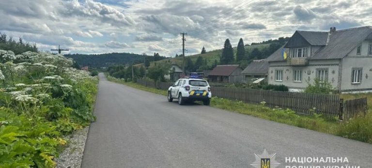 На Львівщині 12-річний хлопець втратив керування мотоблоком і в’їхав в огорожу