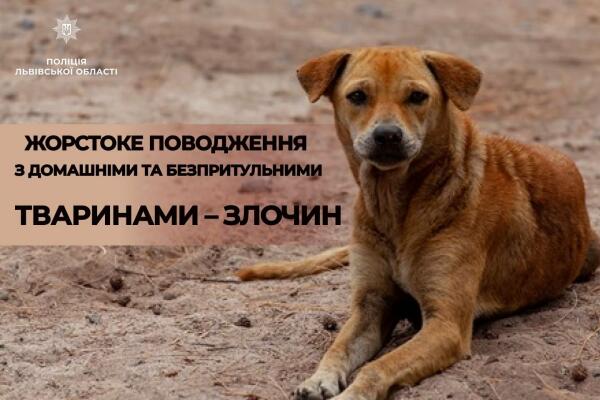 У Львові затримали підозрюваного, який викинув малінуа з другого поверху і втік