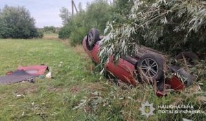 Троє людей отримали поранення під час інциденту