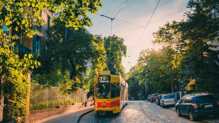 У Львові тимчасово перекриють проїзд автівок на одній із доріг