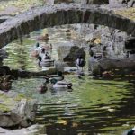 П’ятниця під грозовими хмарами — до +27°C