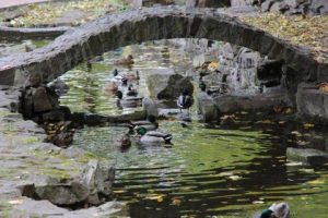 П’ятниця під грозовими хмарами — до +27°C
