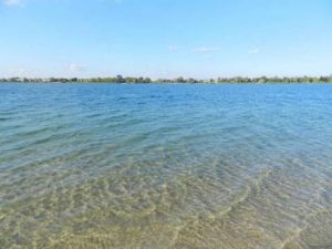 Після відпочинку на озері Задорожнє у Львівській області захворіли вже 43 особи, серед них переважають діти