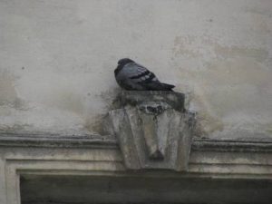 Актуальні курси валют у Львові станом на 28 липня