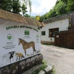 Цими вихідними Львів приймає благодійний фестиваль задля порятунку тварин