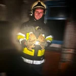 Пожежники у селі Лісове на Золочівщині врятували двох кошенят – Голос Сокальщини
