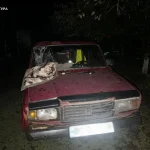 П’яного водія, що смертельно травмував 17-річну дівчину на Львівщині й утік, засудили до 10 років ув’язнення
