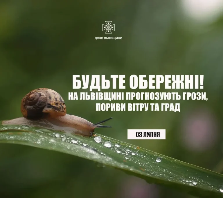 3 липня на Львівщині оголосили штормове попередження: грози, град і сильні пориви вітру – Голос Сокальщини