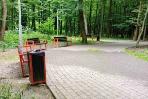 У Львові знову оголосять аукціони на пересувну торгівлю в парках