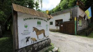 У Львові влаштують «Базар добра» з DJ-сетами, барахолкою та благодійністю