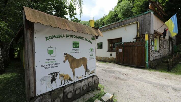 У Львові влаштують «Базар добра» з DJ-сетами, барахолкою та благодійністю