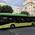 Після падіння дерева у Львові ліквідували пошкодження контактної мережі, тролейбуси повернулися на звичні маршрути