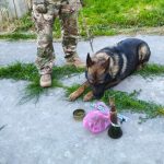 Жителя Дрогобицької громади на Львівщині притягнуть до суду