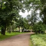 У львівських парках знову пропонують місця для продажу кави, морозива та солодощів