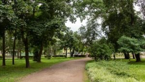 У львівських парках знову пропонують місця для продажу кави, морозива та солодощів