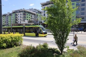 У Львові створюють еко-ділянку з різнотрав’ям (ФОТО)