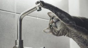 У Львові знову прорив водопостачання — у центрі уваги Садовий