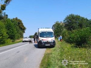 На Золочівщині нетверезий водій наїхав на військового, чоловік загинув на місці