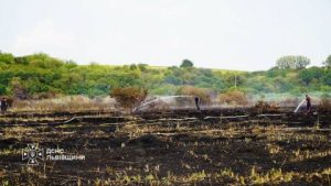 На Львівщині за минулу добу сталося майже 40 пожеж сухої трави та рослинності