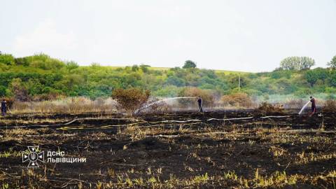 На Львівщині за минулу добу сталося майже 40 пожеж сухої трави та рослинності