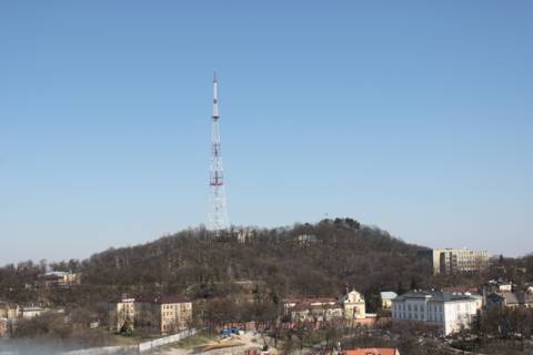 У Львові оголосили карантин після виявлення сказу в кота