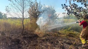 На Львівщині в розпал спеки місцеві підпалюють суху траву