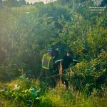На Львівщині авто злетіло з дороги та опинилося в кущах