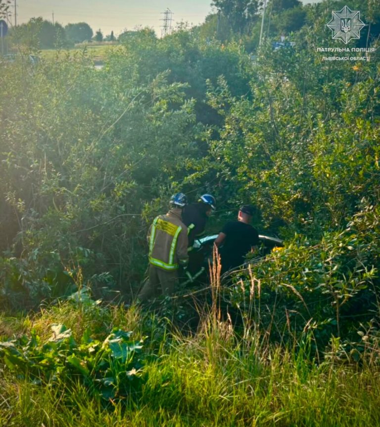 На Львівщині авто злетіло з дороги та опинилося в кущах