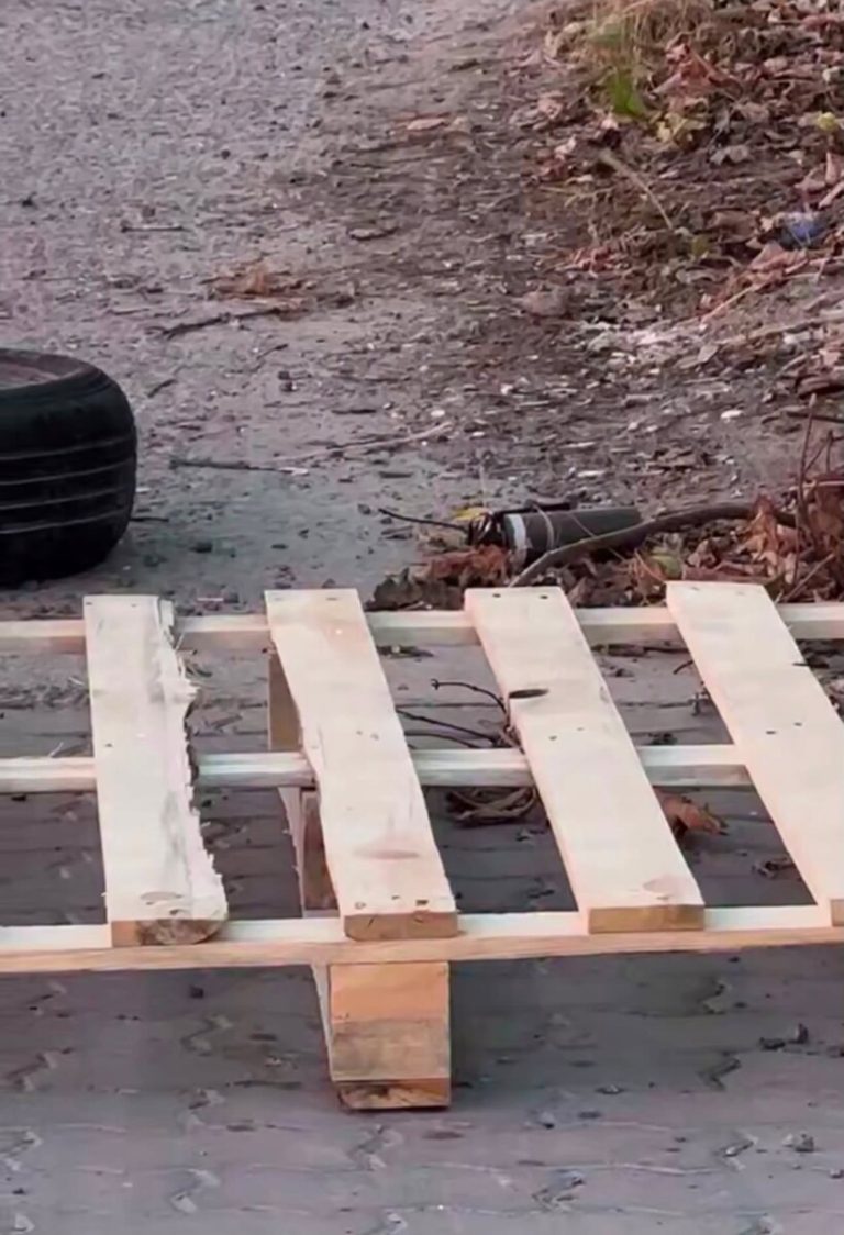 У Львові виявили вибухову розтяжку (ФОТО, ВІДЕО)