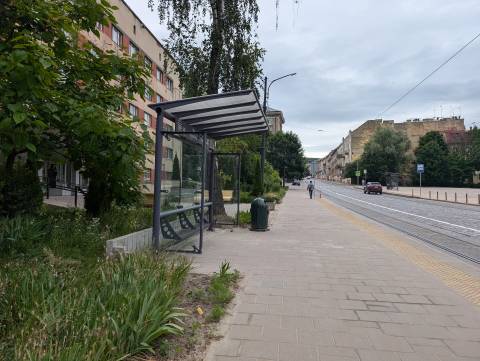 Вівторок принесе короткочасні дощі та тепло до +25°C