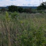 Минулого року на Львівщині запропонували створити заказник і три природні пам’ятки