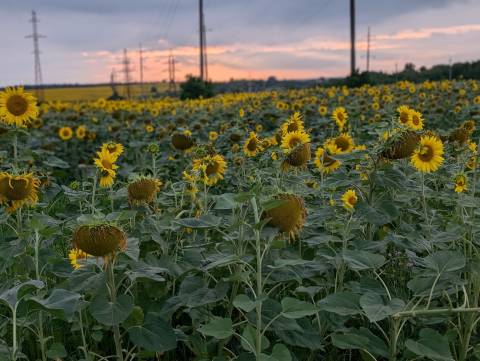 Прогноз погоди на вівторок: місцями грозова активність, до +30°C