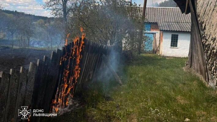 У Львові за рік покарали 22 порушників за спалювання сухої трави: масштаб пожеж збільшився майже в чотири рази
