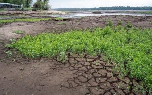 На Львівщині п’ять річок впали до історичного мінімуму: синоптики попереджають про гідрологічну небезпеку