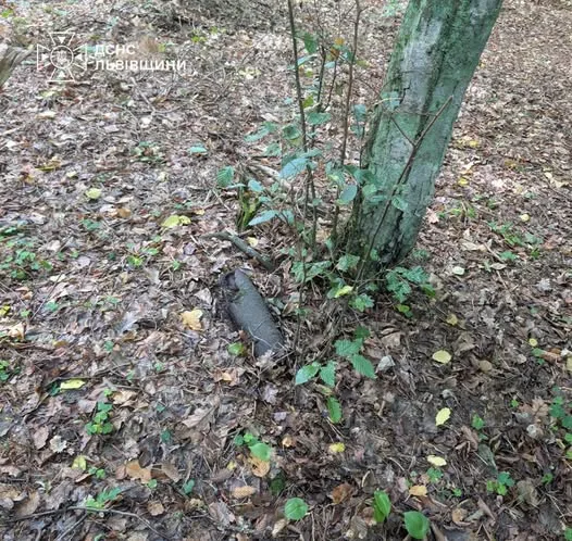 У Львові виявили та ліквідували артилерійський снаряд і гранату, що збереглися з часів Другої світової війни