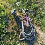 На Львівщині водій «Жигулів» насмерть збив велосипедиста на трасі Борщовичі – Новий Яричів