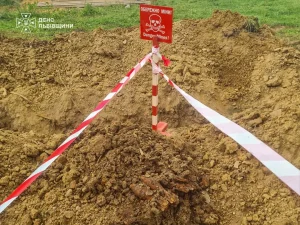 На Стрийщині у селі Завадка знешкодили сім мінометних мін періоду Другої світової війни