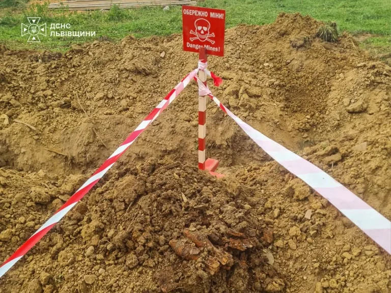 На Стрийщині у селі Завадка знешкодили сім мінометних мін періоду Другої світової війни