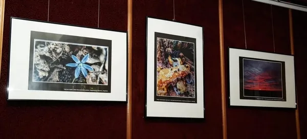 Львівський музей Грушевського презентував фотовиставку Георгія Сутуріна