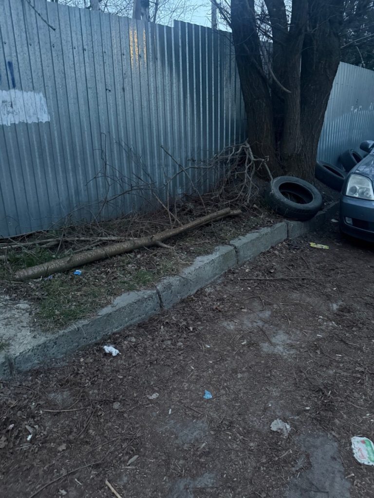 У Львові дорожній рух спантеличив автомобілістів