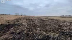 Львівське фермерське господарство позбудеться 15 гектарів землі за порушення орендних умов