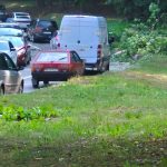 На Високому замку у Львові дерево не втрималось і впало