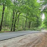 На Львівщині відшкодували майже 3 млн грн шкоди за незаконну рубку 311 дерев