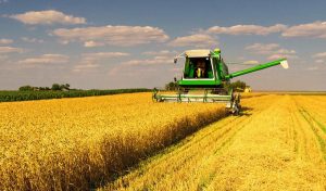 На Львівщині аграрне виробництво збільшилося на 14,3%