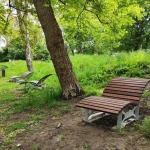 У Львові продовжується фінальна стадія акарицидної обробки парків