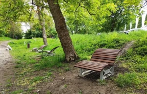 У Львові продовжується фінальна стадія акарицидної обробки парків