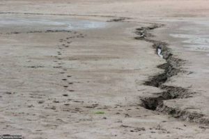 Актуальні курси валют у Львові на 14 вересня