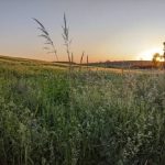 По Україні з боку РФ випущено понад 90 безпілотних апаратів