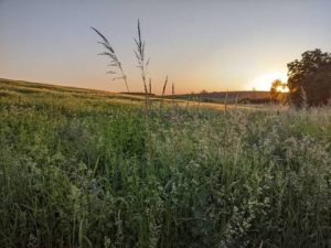 По Україні з боку РФ випущено понад 90 безпілотних апаратів
